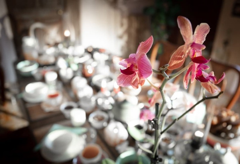Bed and Breakfast La Vieille Maison   Chambre Et Halte Gourmande