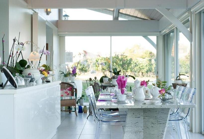 住宿加早餐  Les Raisins Du Bonheur