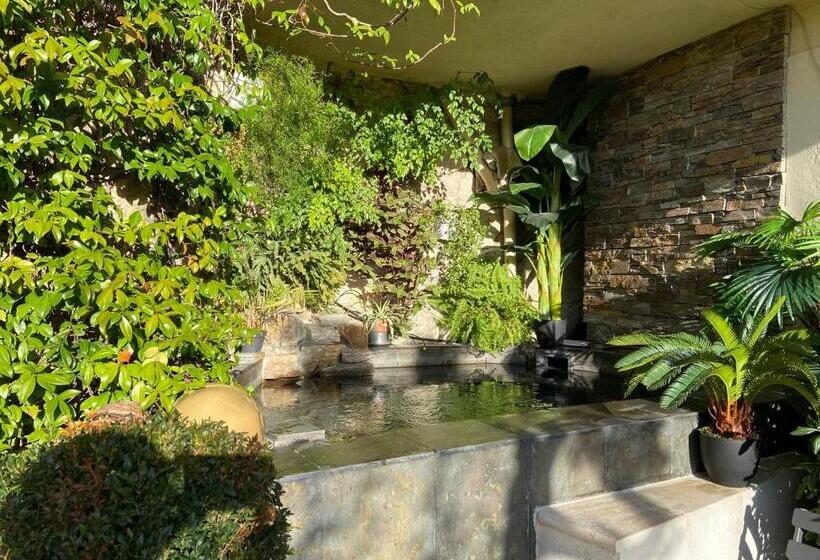 住宿加早餐  Les Terrasses De Castelnau