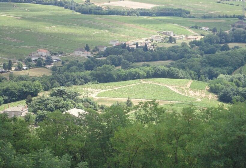 هتل Auberge Les Hauts De Chenas