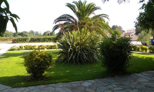 هتل Auberge Les Oliviers