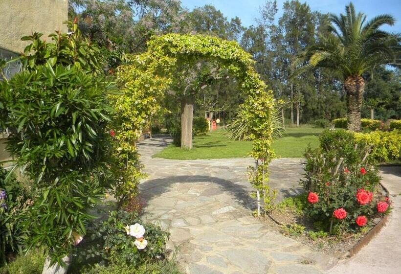 هتل Auberge Les Oliviers