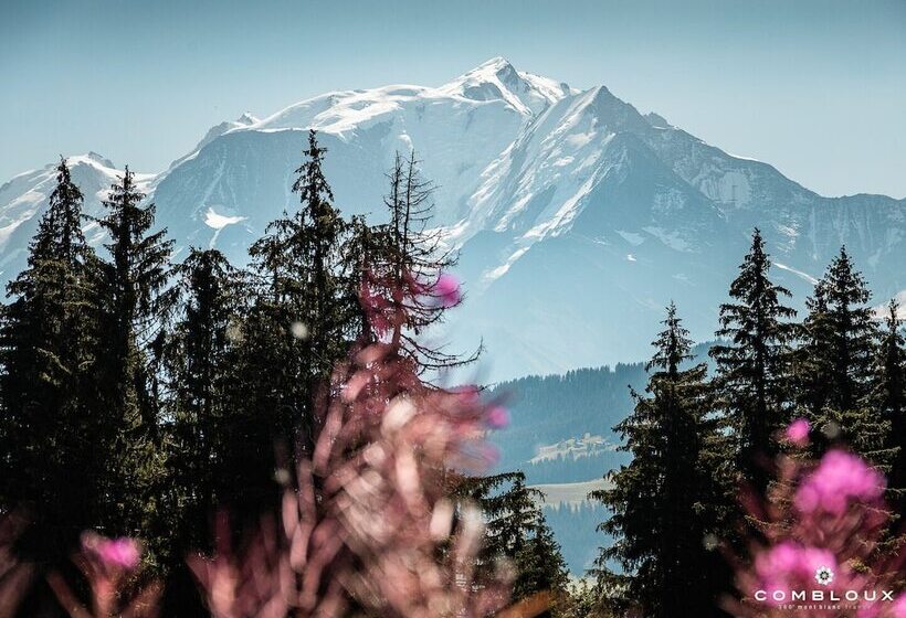 هتل Chalet Alpen Valley, Montblanc