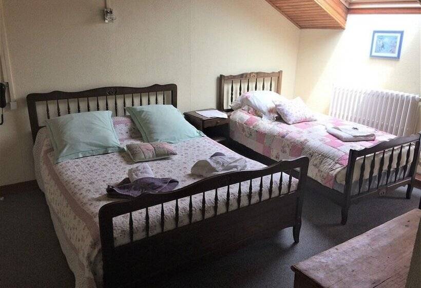 هتل Hôtel De France Et De Russie