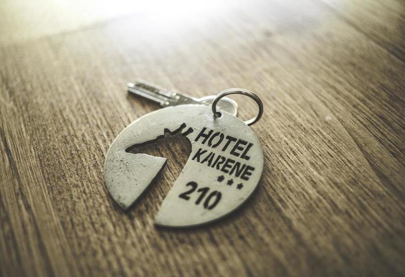 Отель Hôtel Karène