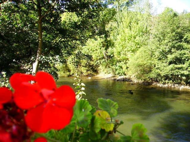 فندق La Pierre Lys