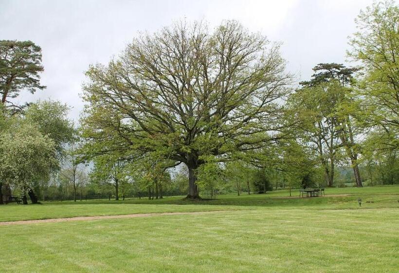 تختخواب و صبحانه Chateau Du Four De Vaux