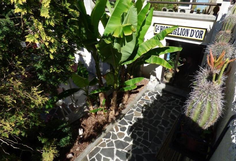 ホテル Hôtel Du Lion D'or