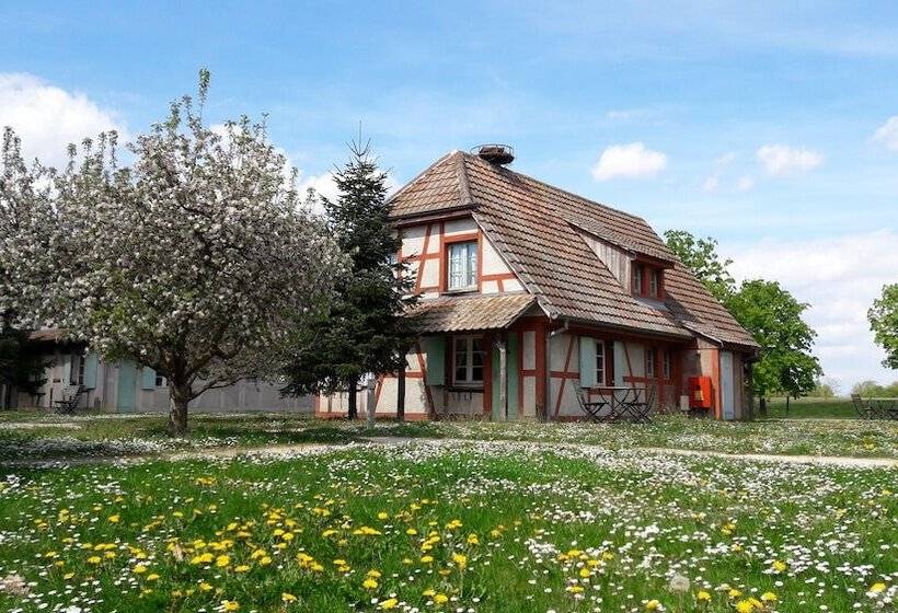 酒店 Les Loges De L Ecomusee D Alsace