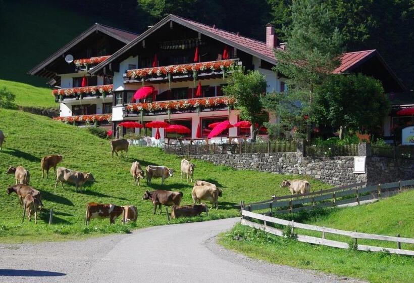 Alpengasthof Hotel Schwand