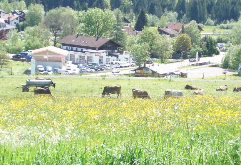 هتل Alpenblick
