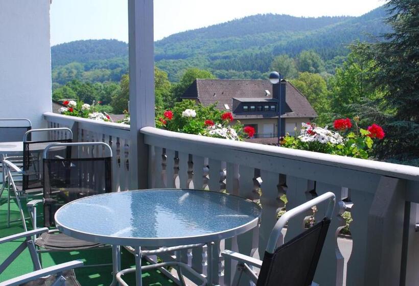 בית מלון כפרי Am See