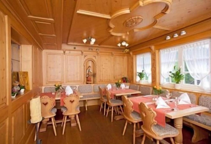 酒店 Hirschen
