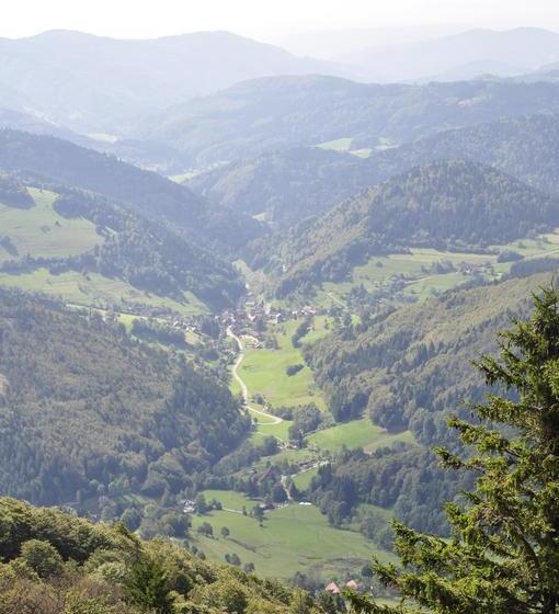 בית מלון כפרי Pension Gasthaus Zur Schmiede