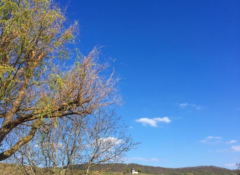 בית מלון כפרי Gästehaus Sektstuuf St. Laurentius