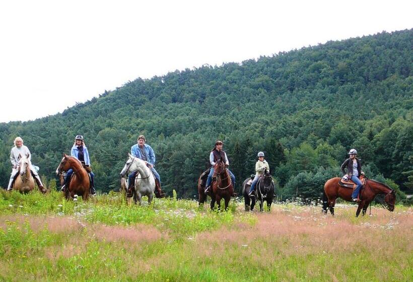 ホテル Zum Ochsen