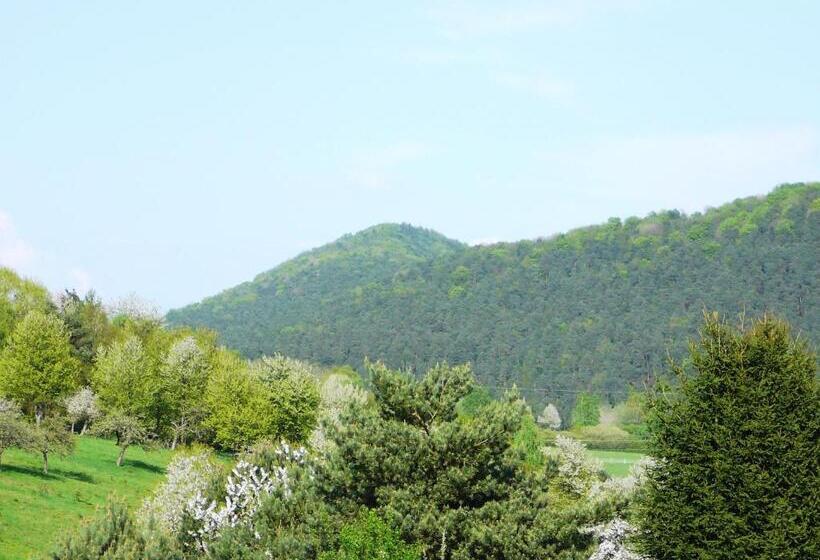 ホテル Zum Ochsen