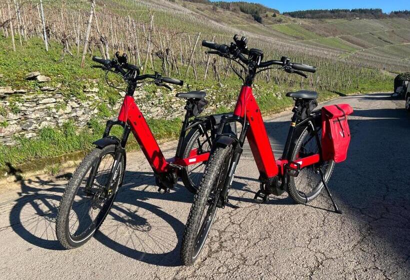 Weingut Aparthotel Olinger