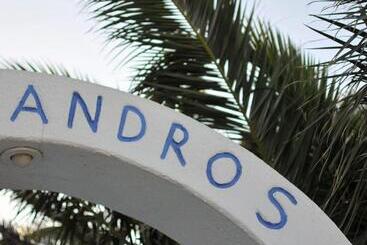 Alexandros Mykonos