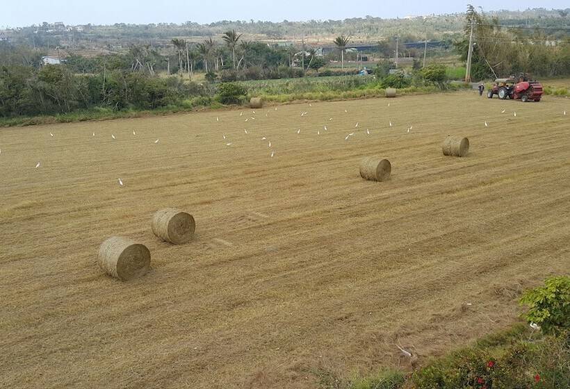 تختخواب و صبحانه 57villa