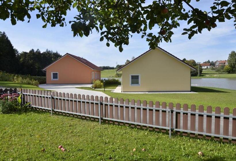 בית מלון כפרי Pension Zum Grünen Wald