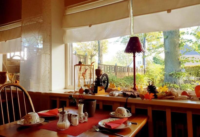 酒店 Schweizerhaus