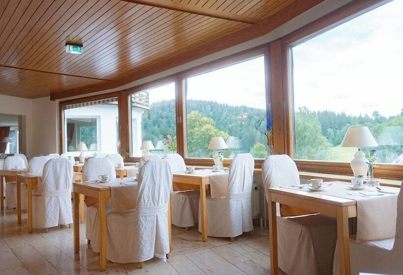 ホテル Sonnenberg Garni