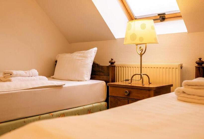 Steiger Apparthotel Bad Schandau