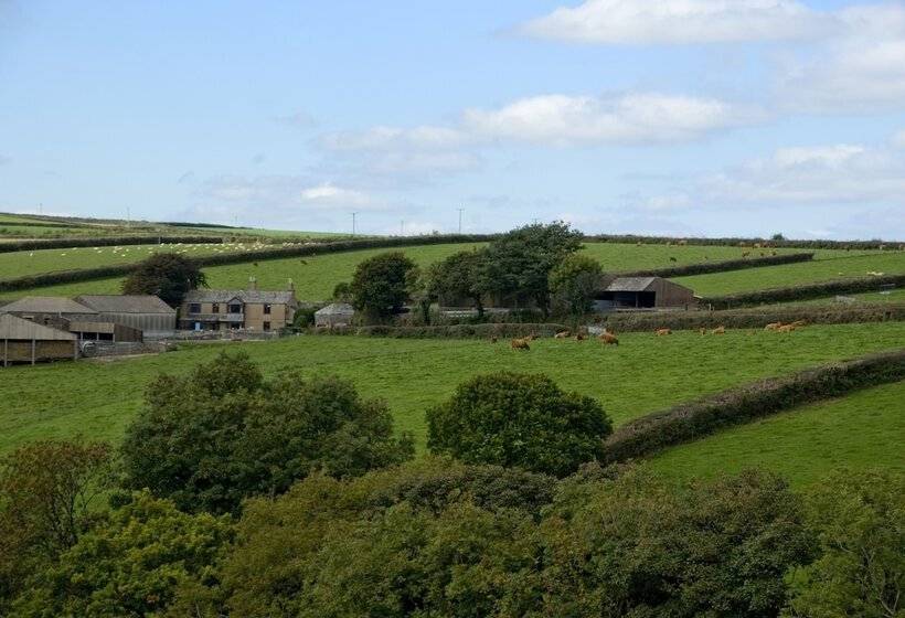민박 Tregondale Manor Farm