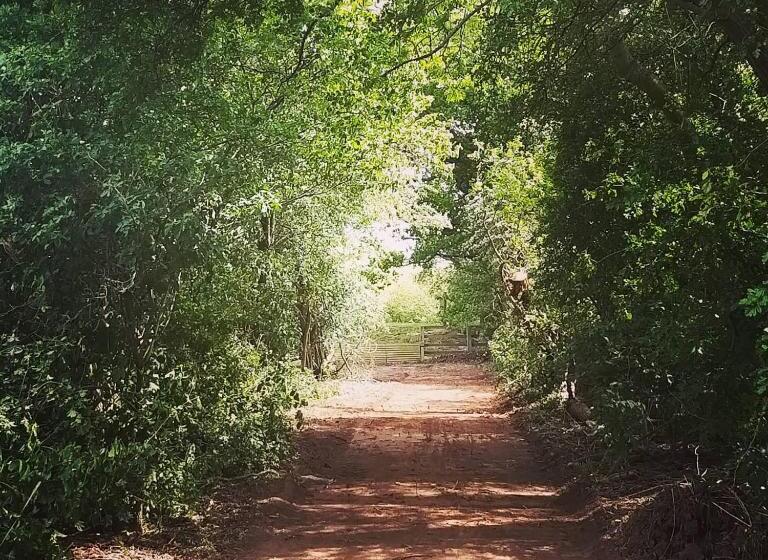 Burton Grange Farmhouse B&b