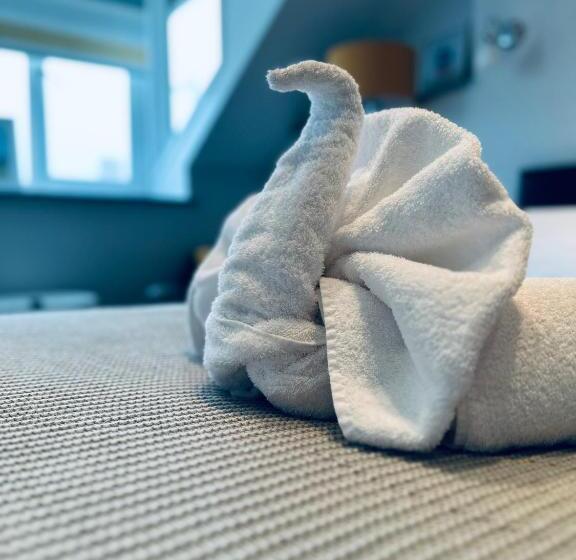 هتل Gwesty Guest House