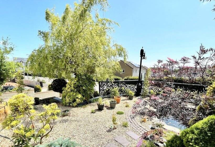 مبيت وإفطار Bojangles Guest House