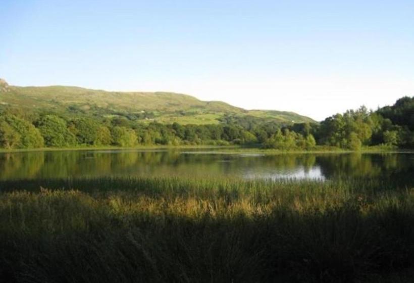 住宿加早餐  Bryn Derw