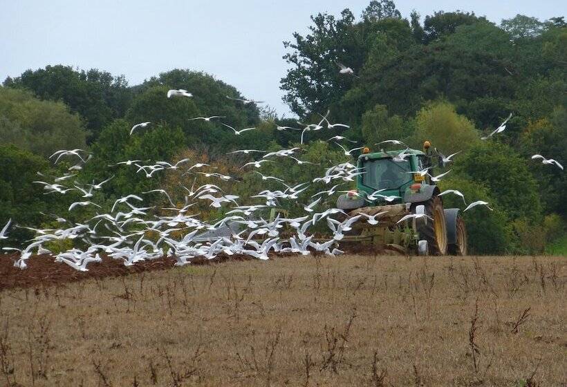 تختخواب و صبحانه Courtbrook Farm
