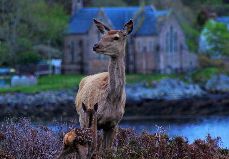 ベッドアンドブレックファースト Davar