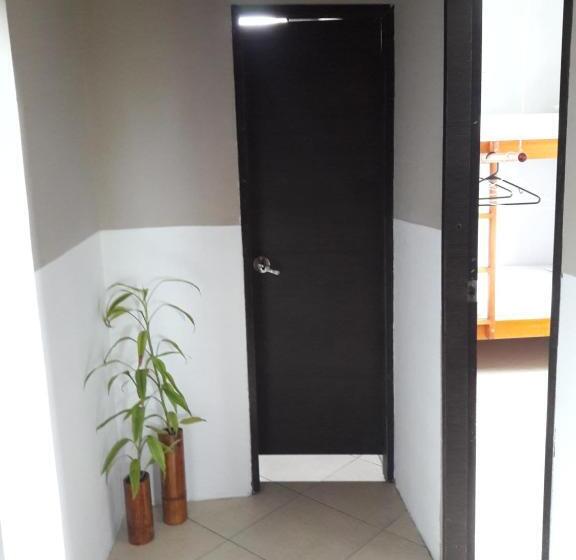 هاستل Hostal Casa Taisha
