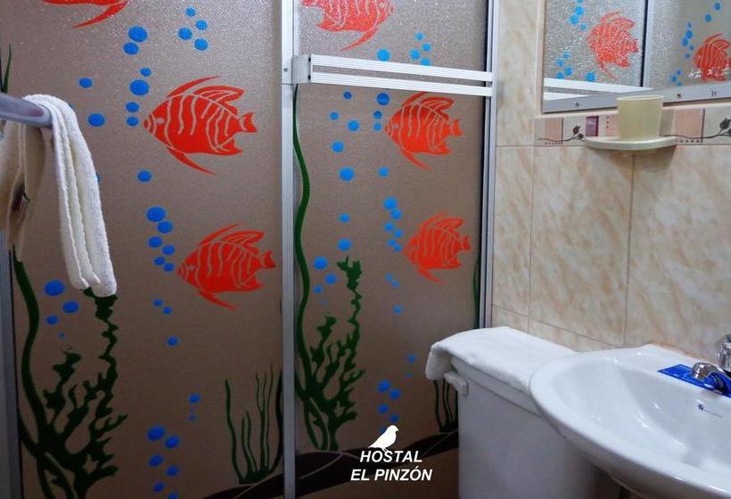 هاستل Hostal El Pinzón
