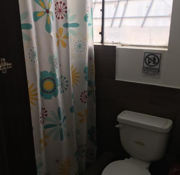 هاستل The Backpacker Hostal