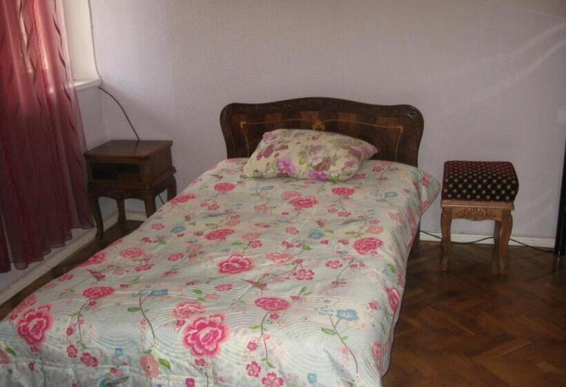 Hostel Temuri