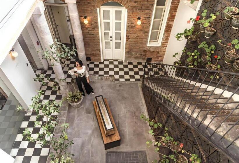 هتل Carlota Sustainable Design