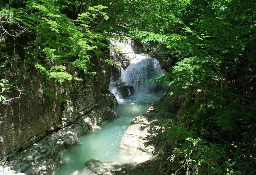 هاستل Sweet Home