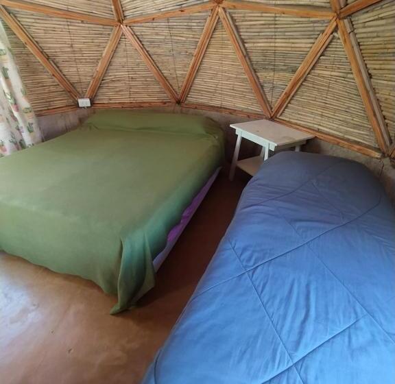 호스텔 Casa Arbol Domos