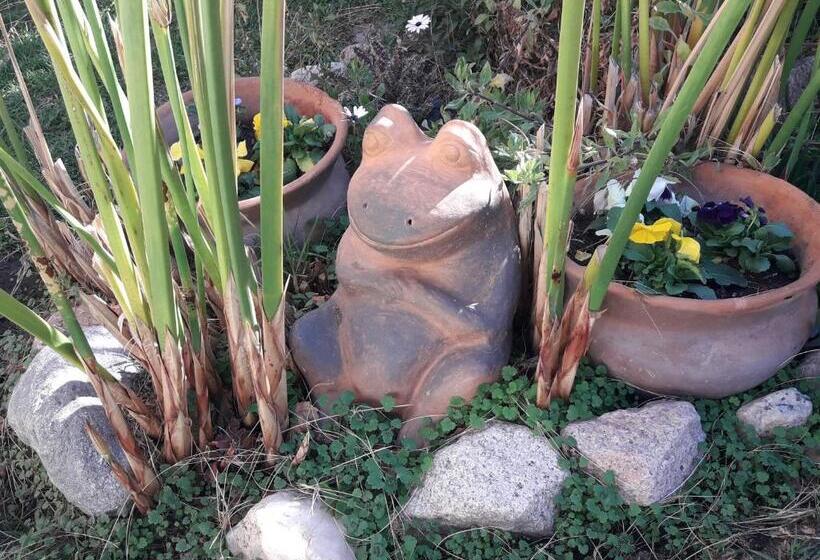 هاستل Hostal Rustyk