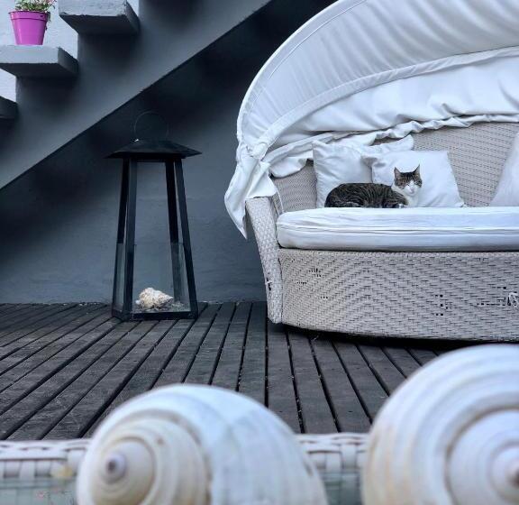 Cool Clima B&b
