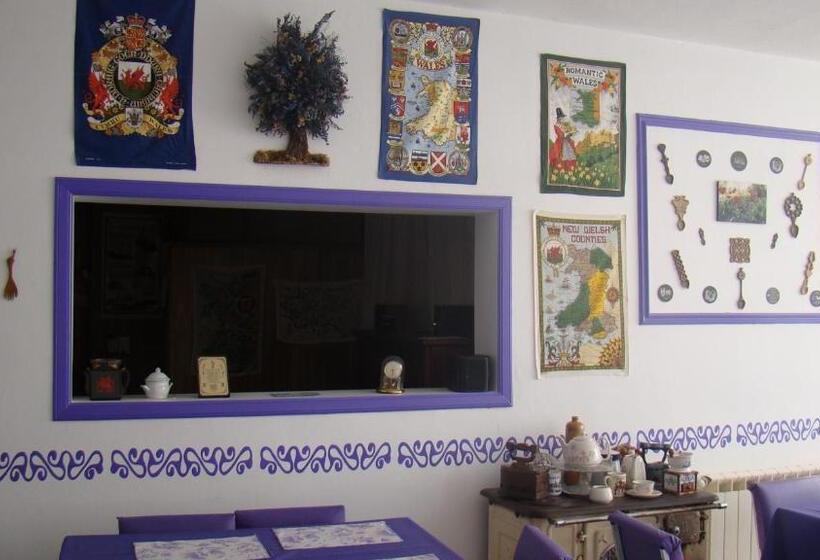 مبيت وإفطار Hostería Plas Y Coed Gwesty