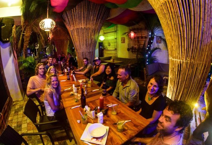 בית מלון כפרי Olympus