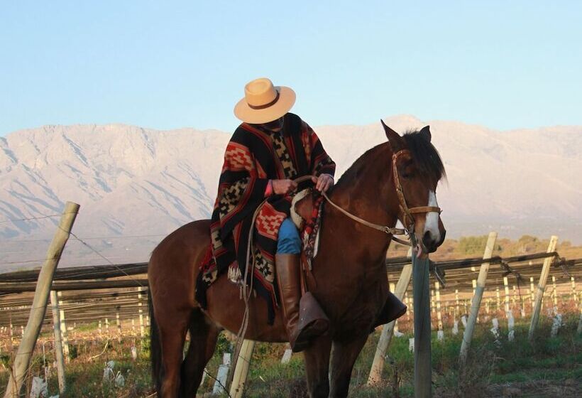 فندق Posada Rural La Matilde