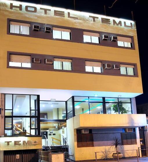 Hotel Temu