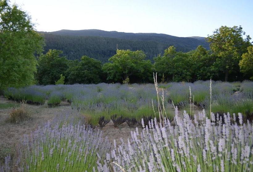 هاستل Huala Hosteria