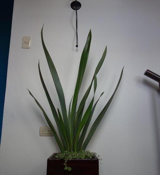 هاستل Hostal Mochiliers Bed And Breakfast